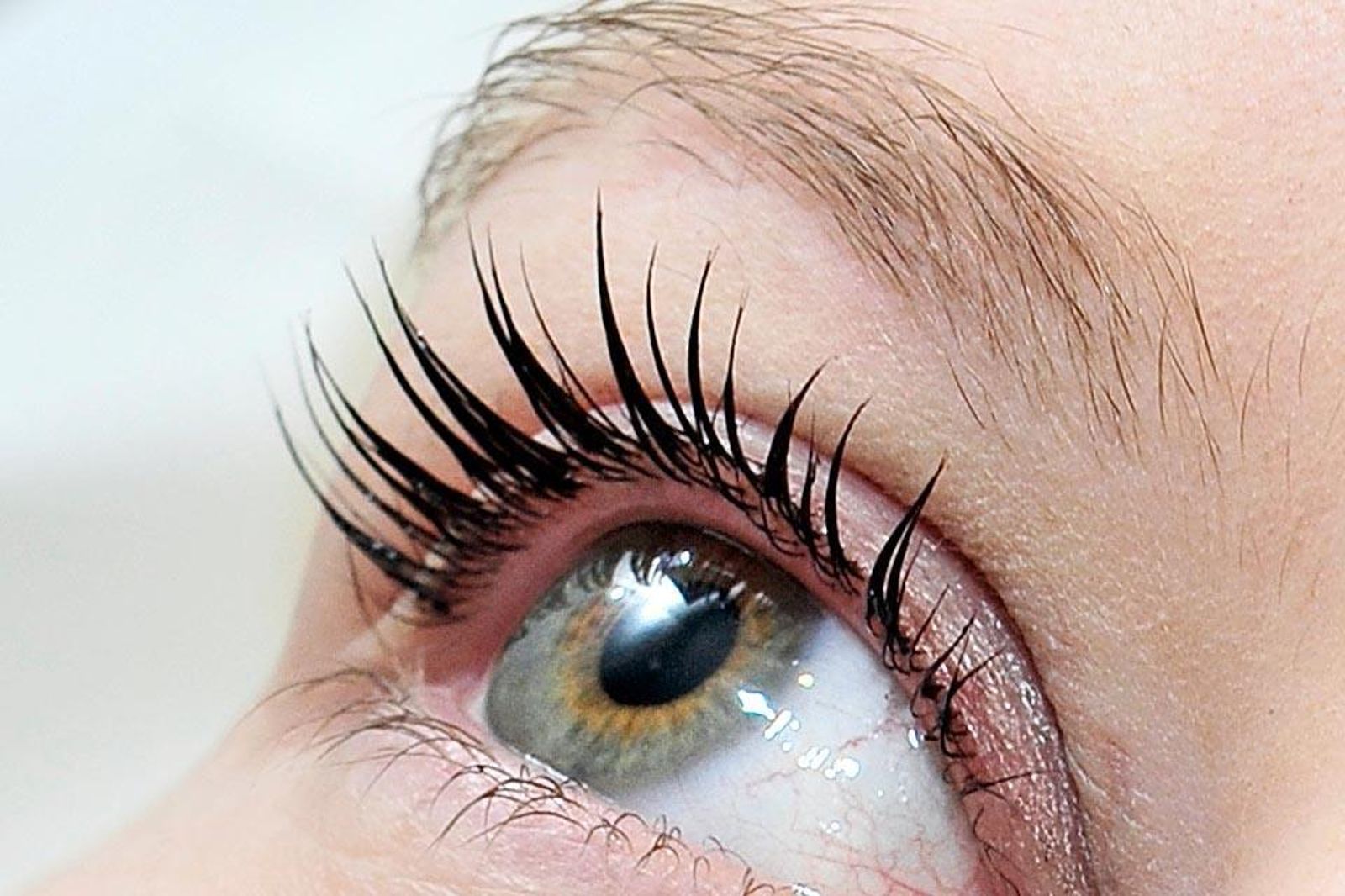 Lash Lift & Tint in Catral
